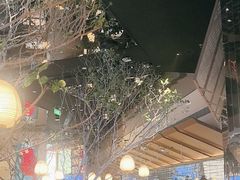 -桂满陇·海市蜃楼·黑金(国金店)