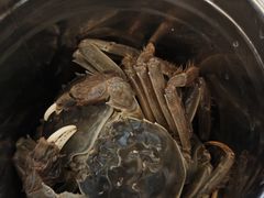 -东方红海鲜百汇(国际大厦店)