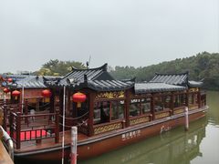 -大湾区中央湿地公园