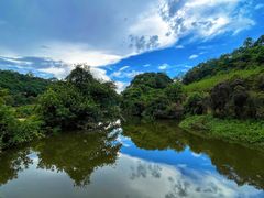 -南国桃园旅游度假区