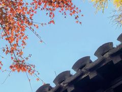 -南京市民俗博物馆(甘熙宅第)