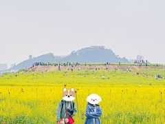 -光明小镇欢乐田园