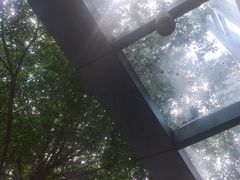 -1点点(东泰禾店)