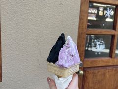 -柠檬车露(卖草地店)