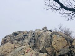 -北京鹫峰国家森林公园