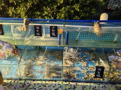 -渔家火锅·海鲜自助餐·演艺(亚龙湾天域酒店)