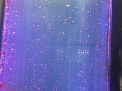 -扬歌KTV(天钥桥路店)