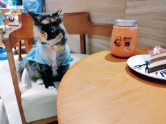 -藏猫猫咖啡主题馆(中央大道店)