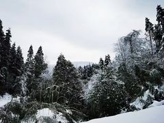 -龙苍沟森林公园