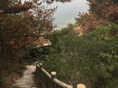 景点-燕窝岭