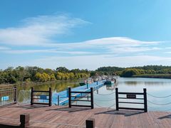 -大湾区中央湿地公园