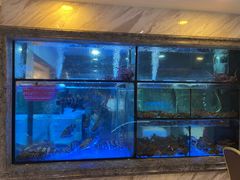 -富园海鲜酒家(佐敦店)