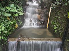 -鼎湖山风景区
