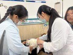 -中国农业大学动物医院
