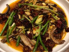 火爆鳝片-铁公鸡·四川料理(天环广场店)