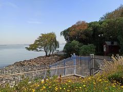 -上海吴淞炮台湾国家湿地公园