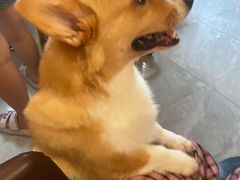 -铭洋专业采耳(田子坊店)