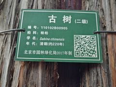 -妙应寺白塔