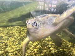 -苏州海洋馆