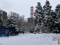 -北海道厅旧本厅舍(旧本庁舎)