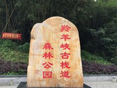 -羚羊峡古栈道森林公园