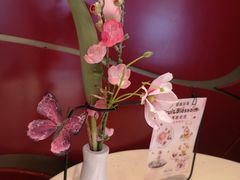 -哈根达斯(合肥天鹅湖店)