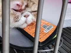 -畜牧兽医站(共江路店)