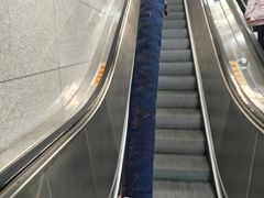 -乐悠琴馆·古琴古筝