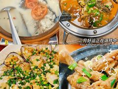 -全乐鱼馆·淳牌有机鱼直营店