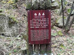 -少华山国家森林公园