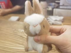 -寿奶茶·鲜奶与茶(合生汇购物中心店)