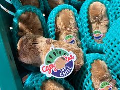 -ZOO COFFEE动物园咖啡(红山森林动物园店)