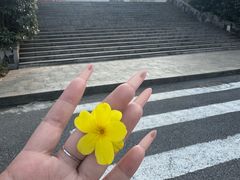 -巨石山景区