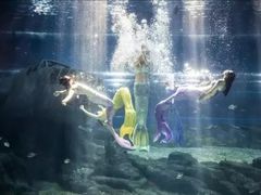 -福州罗源湾海洋世界旅游区