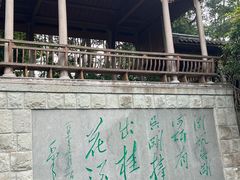 -千岛湖东南湖区
