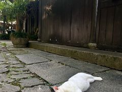-法云安缦酒店