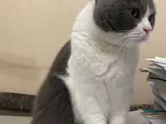 -缘赵记(沙子口店)