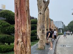 -石家庄市植物园