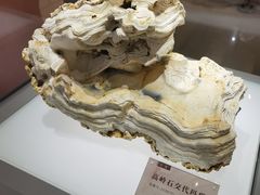 -安徽省地质博物馆