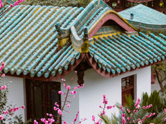 -桂湖森林公园
