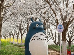 -古柏渡丰乐樱花园