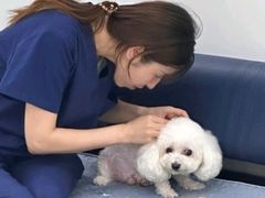 -派美特宠物医院·核磁CT·骨科肿瘤·疑难转诊(沈农禾丰店)