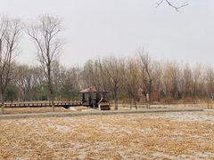 -永定河休闲森林公园