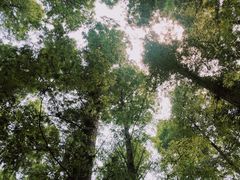 -南京金牛湖风景区