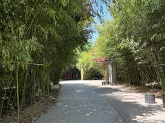-法门文化景区