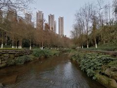 -重庆彩云湖湿地公园