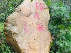 -广州市白云山风景名胜区