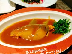 春笋烧河豚-巧庆楼·茶膳