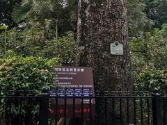-黄埔古港