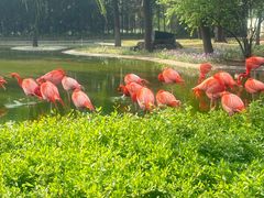 -石家庄市动物园